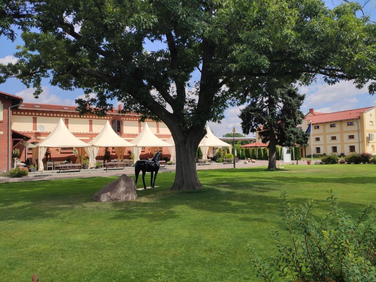 Hotel Sandro Silver & Spichlerz Antoniny Leszno  Εξωτερικό φωτογραφία